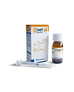 Bioiberica givet suukaudne geel 60ml n1