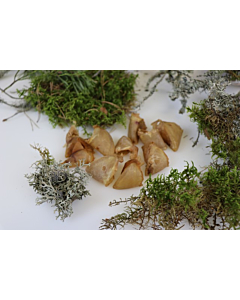 Ottomar koera maius kuivatatud seasõrg 60g