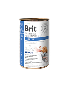 Brit Veterinary Diet Recovery konserv koertele ja kassidele 400g