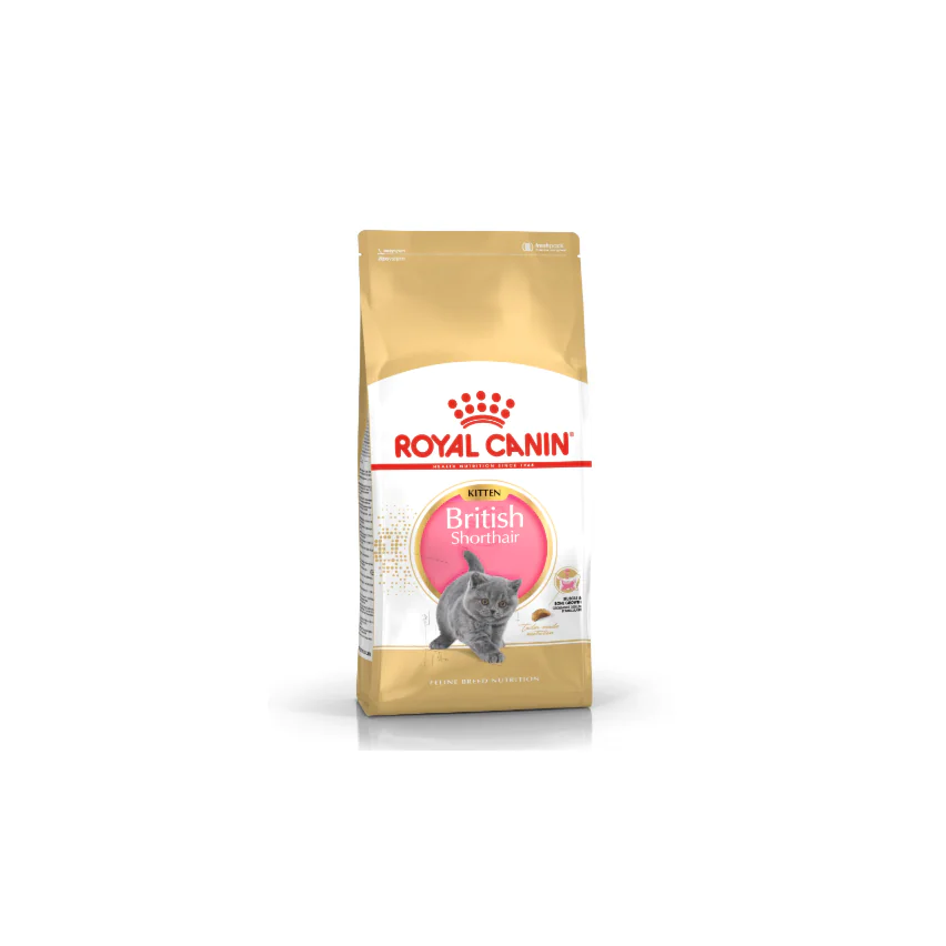 Royal Canin Kitten British Shorthair 400 g Dry Food
